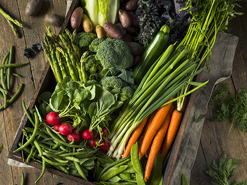 Active Adults Find Food, Fun at Farmer’s Markets